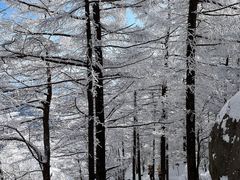 -崂山巨峰游览区