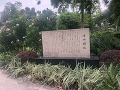 -晓港公园