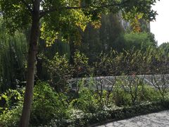 -兰溪青年公园