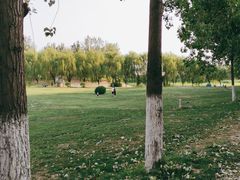 -天津武清北运河郊野公园房车露营地