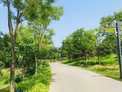 -东郊湿地公园