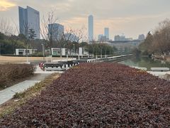 -白塘生态植物园