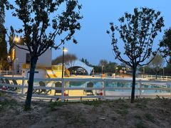 -爪吧宠物乐园·宠物泳池(温榆河示范区店)