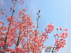 -国家植物园