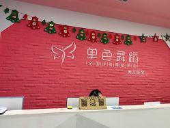 -单色舞蹈