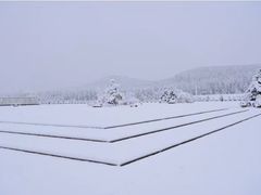 -塞罕坝国家级自然保护区