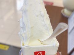 -野人先生Gelato(上海长宁龙之梦店)
