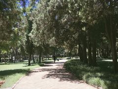 -西北农林科技大学(北校区)