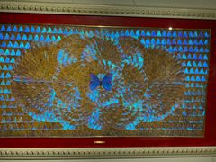 -上海昆虫博物馆