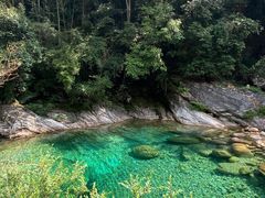 -黄山翡翠谷景区