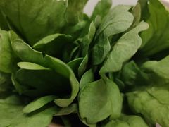 -君邦火锅(新疆大厦店)