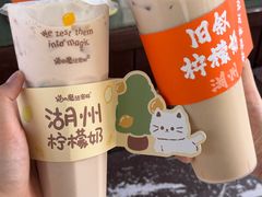 -猫的魔法密林(衣裳街店)