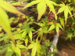 -江南大学(蠡湖校区)