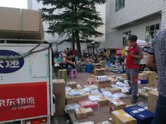-中国人民解放军总医院(301医院)