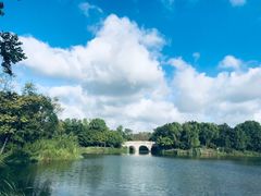 -梁鸿国家湿地公园