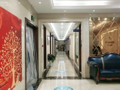 -碧莲盛·不剃发植发