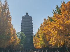 -玲珑塔公园