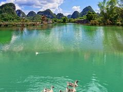 -靖西鹅泉风景区