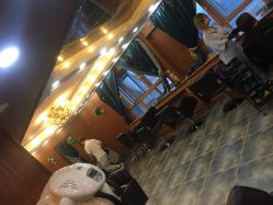 -小齐发型Star·Salon