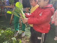 -小脚丫幼儿园(西二旗东一路校区)