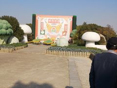 -上海都市菜园