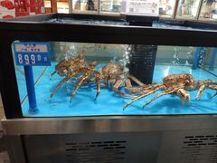 -麦德龙(郑东店)