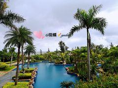 -海口绿发希尔顿酒店-田园汇自助餐·三文鱼·海鲜