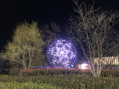-琴岛之星摩天轮