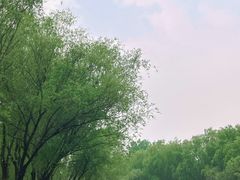 -皇家御河游(紫御湾码头)