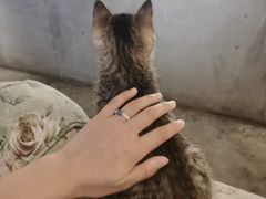 -么么咖啡(燕郊店)