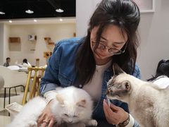 -藏猫猫咖啡主题馆(中央大道店)