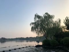 -西湖外事游船(花港观鱼码头)