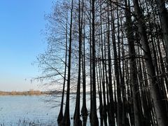 -东湖落雁景区