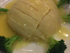 -丁老爷子苏香圆