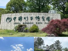 -阿露佳·舌尖上的安吉菜