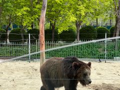 -秦皇岛野生动物园
