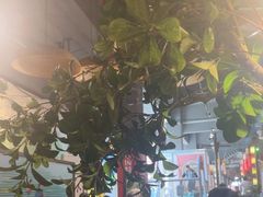 -山芋腔苏北菜(盐城滨海店)
