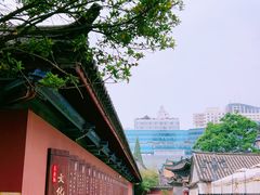 -真庆观