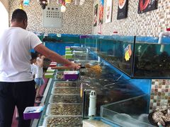 -港畔赶海蒸汽海鲜烧烤自助(仙螺岛店)