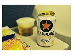 -全日本空输株式会社(上海办事处)