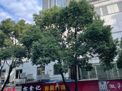 -青果虾饼(杨柳巷店)