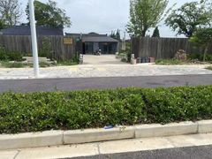 -南汇新场正宗水蜜桃采摘