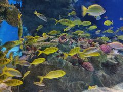 -海合安成都极地海洋公园