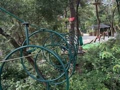 -芦仙山景区-飞越丛林探险乐园