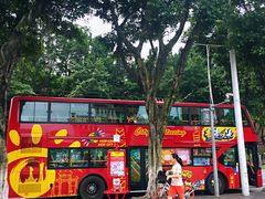 -广州都市观光巴士(粤陶巴)