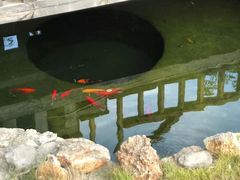 -中苑海韵
