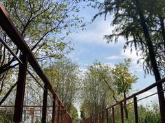 -贡湖湾湿地公园