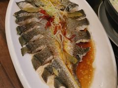 -今鲜源大酒店·中华餐饮名店(新湛路店)