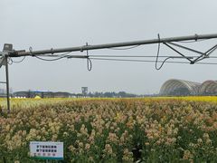 -中国天府农业博览园