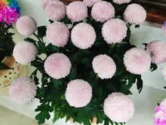 -三人行骨头王火锅(长寿店)